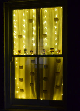 2025 Gwydir St festive window
